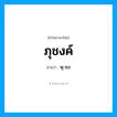 พุ-ชง เป็นคำอ่านของคำไหน?, คำในภาษาไทย พุ-ชง อ่านว่า ภุชงค์