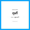 พุม-มะ-รี เป็นคำอ่านของคำไหน?, คำในภาษาไทย พุม-มะ-รี อ่านว่า ภุมรี
