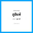 พูม-แพ้ เป็นคำอ่านของคำไหน?, คำในภาษาไทย พูม-แพ้ อ่านว่า ภูมิแพ้
