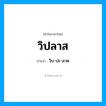 วิบ-ปะ-ลาด เป็นคำอ่านของคำไหน?, คำในภาษาไทย วิบ-ปะ-ลาด อ่านว่า วิปลาส