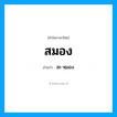 สะ-หฺมอง เป็นคำอ่านของคำไหน?, คำในภาษาไทย สะ-หฺมอง อ่านว่า สมอง