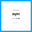 สะ-หฺมุด เป็นคำอ่านของคำไหน?, คำในภาษาไทย สะ-หฺมุด อ่านว่า สมุทร