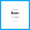 สิ-เน-หา เป็นคำอ่านของคำไหน?, คำในภาษาไทย สิ-เน-หา อ่านว่า สิเนหา